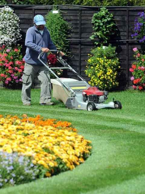 One Stop Lawn Renovations Surrey and West Sussex