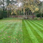 One Stop Lawn Renovations Surrey and West Sussex