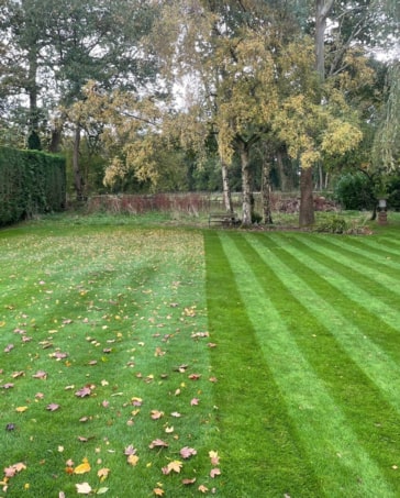 One Stop Lawn Renovations Surrey and West Sussex