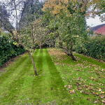 One Stop Lawn Renovations Surrey and West Sussex