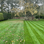 One Stop Lawn Renovations Surrey and West Sussex