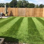 One Stop Lawn Renovations Surrey and West Sussex