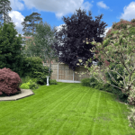 One Stop Lawn Renovations Surrey and West Sussex