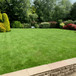 One Stop Lawn Renovations Surrey and West Sussex