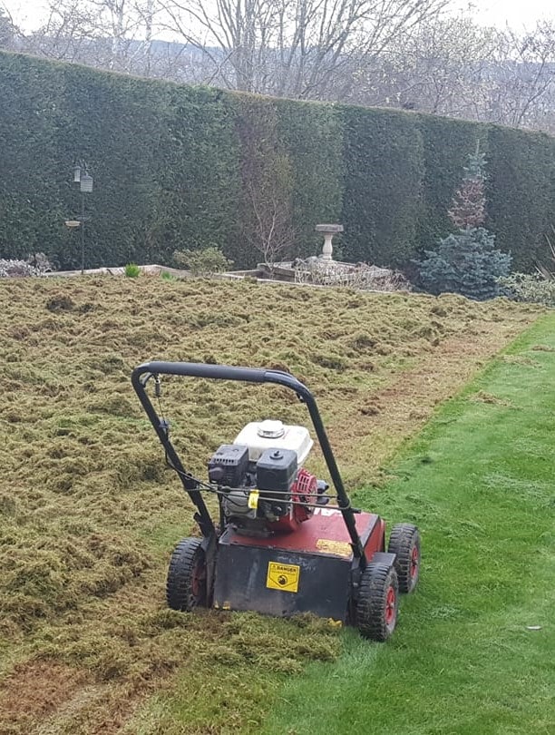 Lawn Care Service,Lawn Treatments Service, Lawn Renovation Service,Lawn Scarification Service Surrey and West Sussex