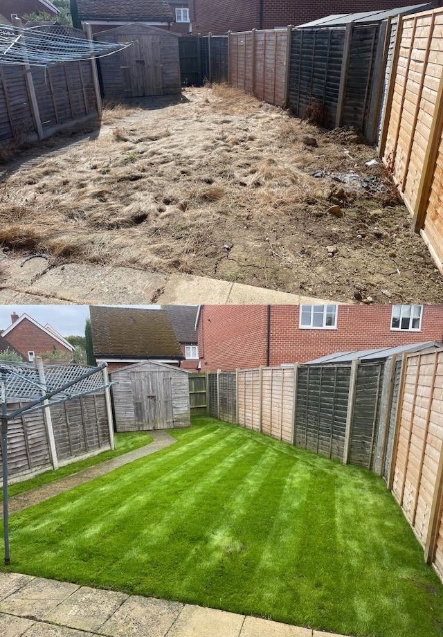 Lawn Renovation Surrey and West Sussex